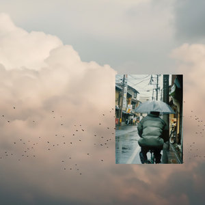 日本少妇做爰全过程二区
