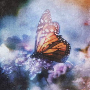 欧美做爰BBB小说
