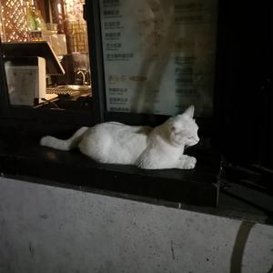 张子枫真人毛片
