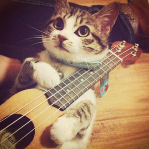 日本少妇做爰全过程二区
