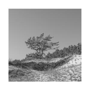 欧美做爰BBB小说
